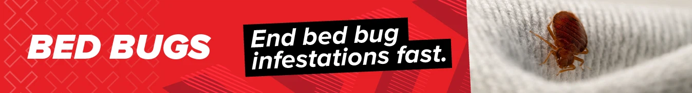Category banner Bed Bugs