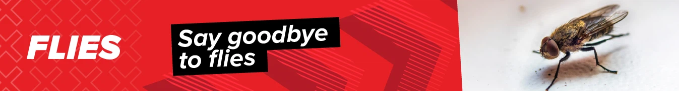Category banner Flies
