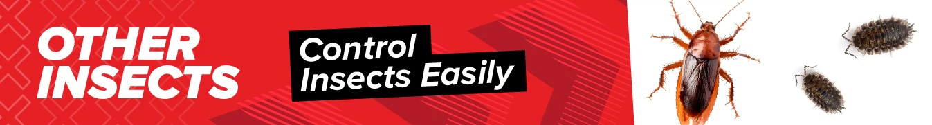 Category banner Other Insects