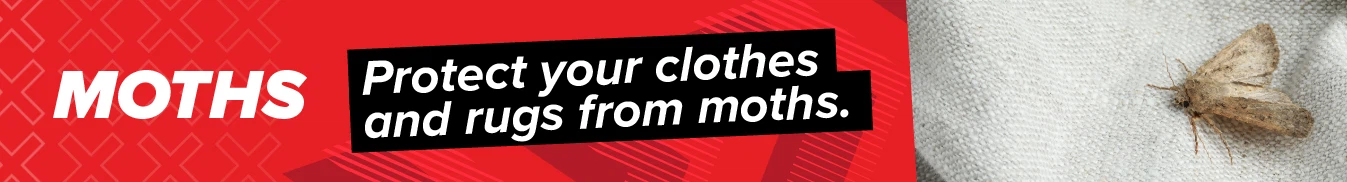 Category banner Moths