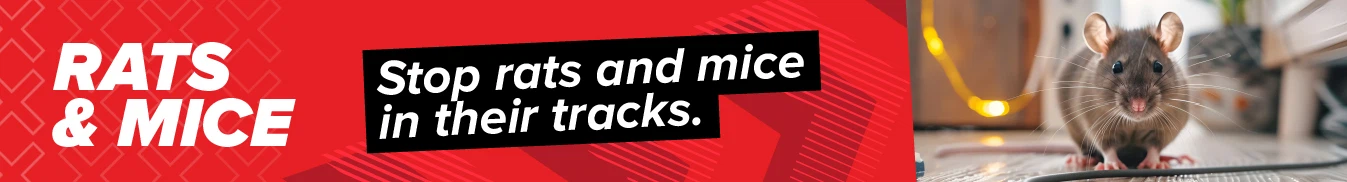 Category banner Rats & Mice