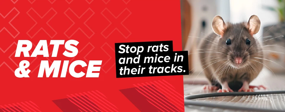 Rat & Mouse Poison, Rodent Control Brodifacoum & Difenacoum
