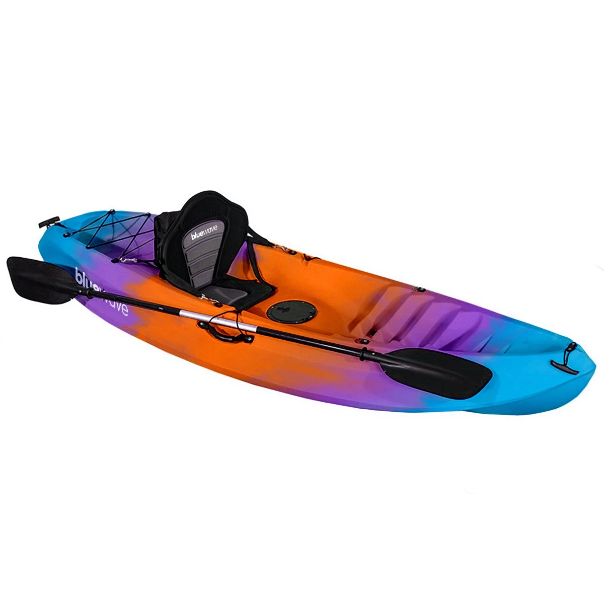 Bluewave Discovery Sea Pumpkin